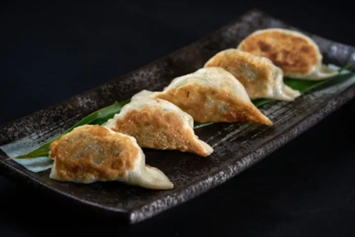 Pan-fried vegetable dumplings on a dark serving dish